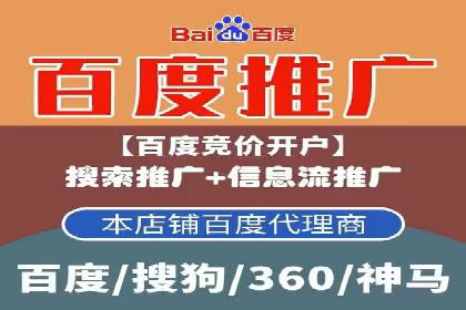 深入解析SEM竞价托管的成功案例